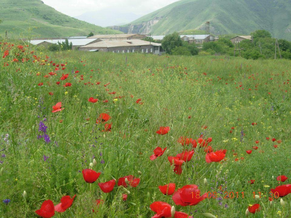 Sisian Azoyan Holiday Resort מראה חיצוני תמונה