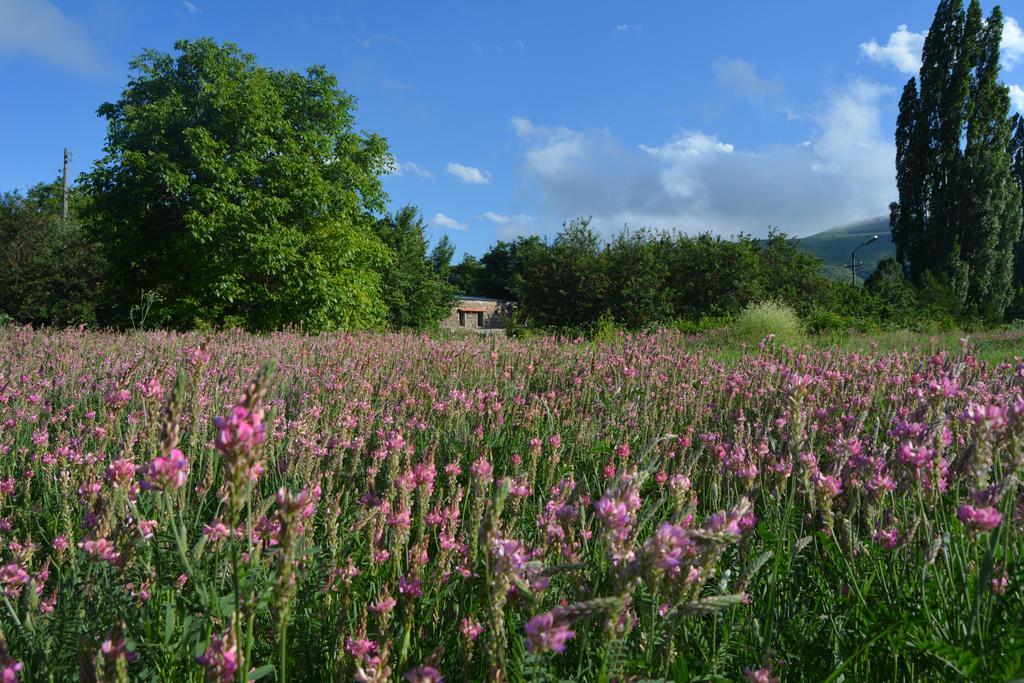 Sisian Azoyan Holiday Resort מראה חיצוני תמונה